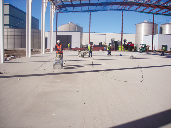 Ce înseamnă o echipă de aplicatori profesionistă