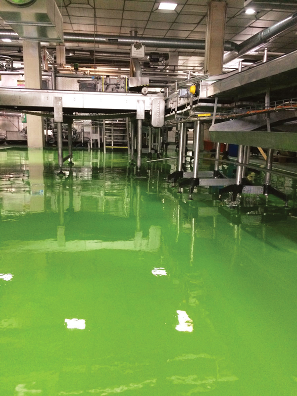 Ce înseamnă o echipă de aplicatori profesionistă