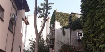 Cum ne ferim de indiscreția vecinilor