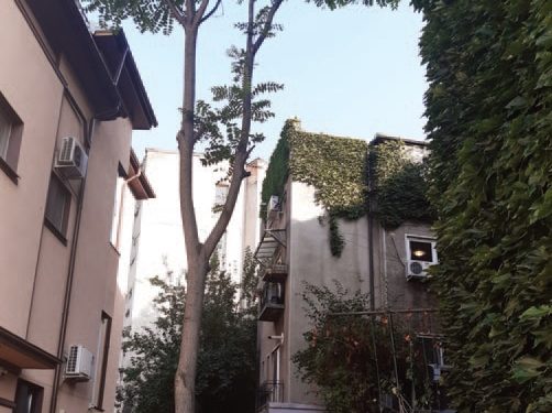 Cum ne ferim de indiscreția vecinilor