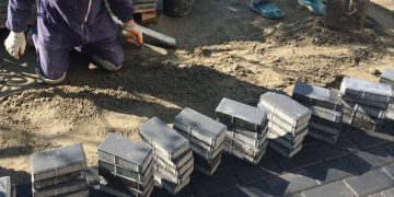 Sfatul specialistului