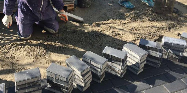 Sfatul specialistului